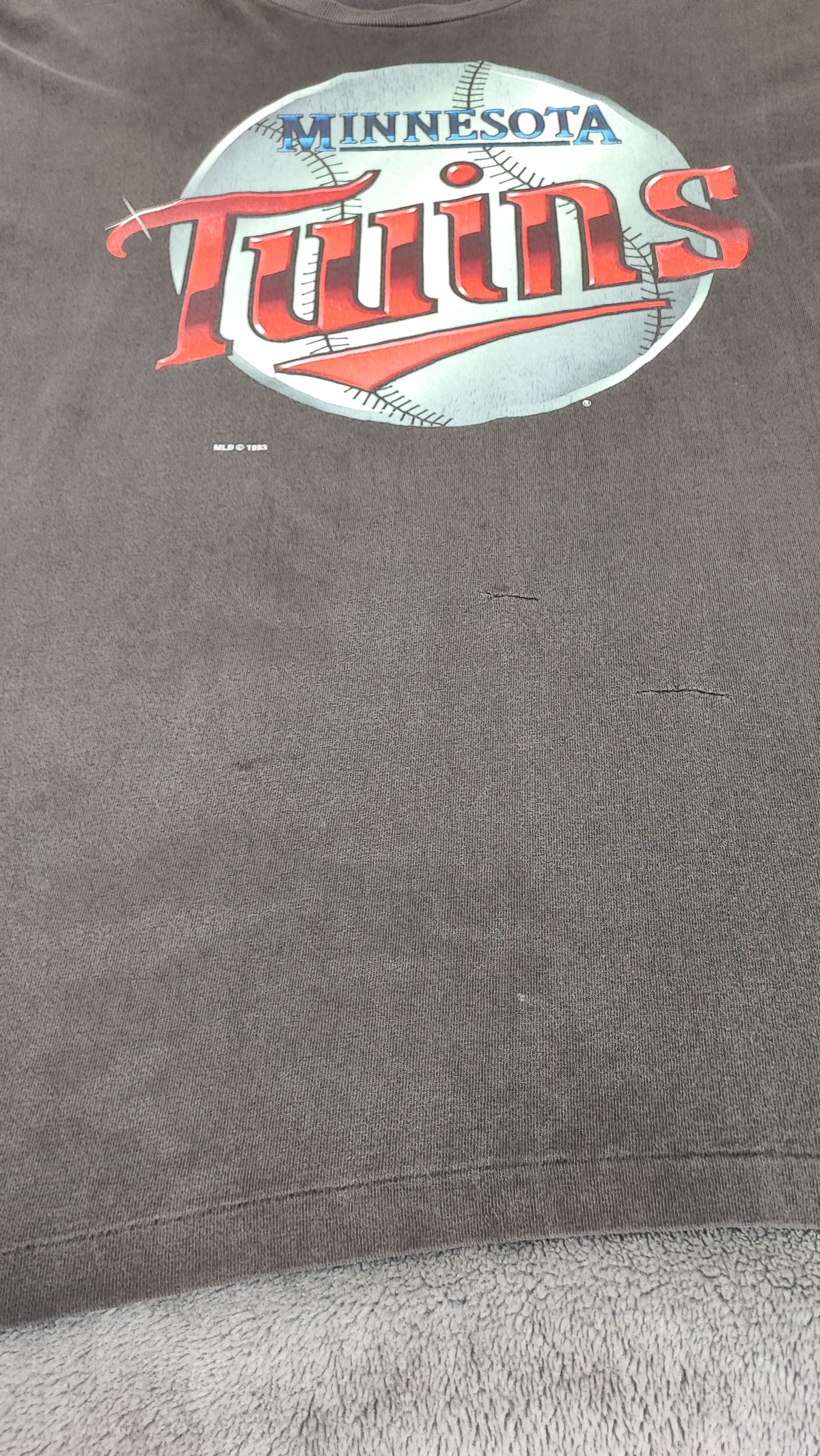 Vintage 1993 Salem Sportswear Minnesota Twins MLB Graphic T-Shirt Men's Size M